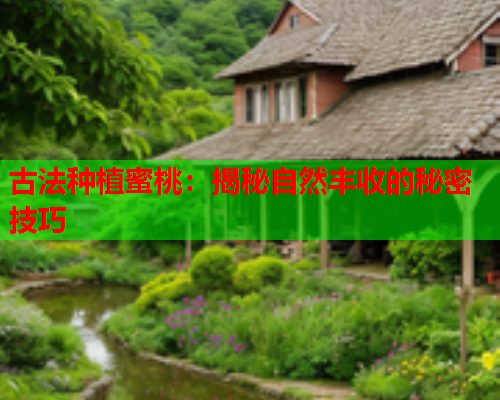 古法种植蜜桃：揭秘自然丰收的秘密技巧