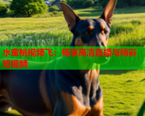 水蜜桃视频飞：畅享高清直播与精彩短视频