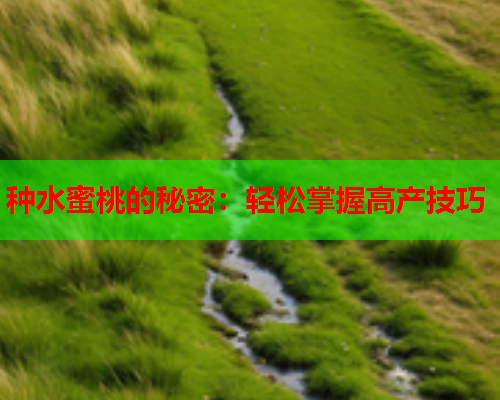 种水蜜桃的秘密：轻松掌握高产技巧