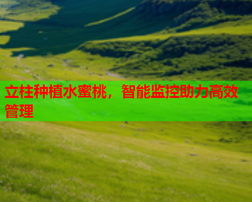 立柱种植水蜜桃，智能监控助力高效管理